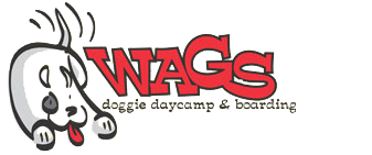 Wags Doggie Day Camp & Boarding logo