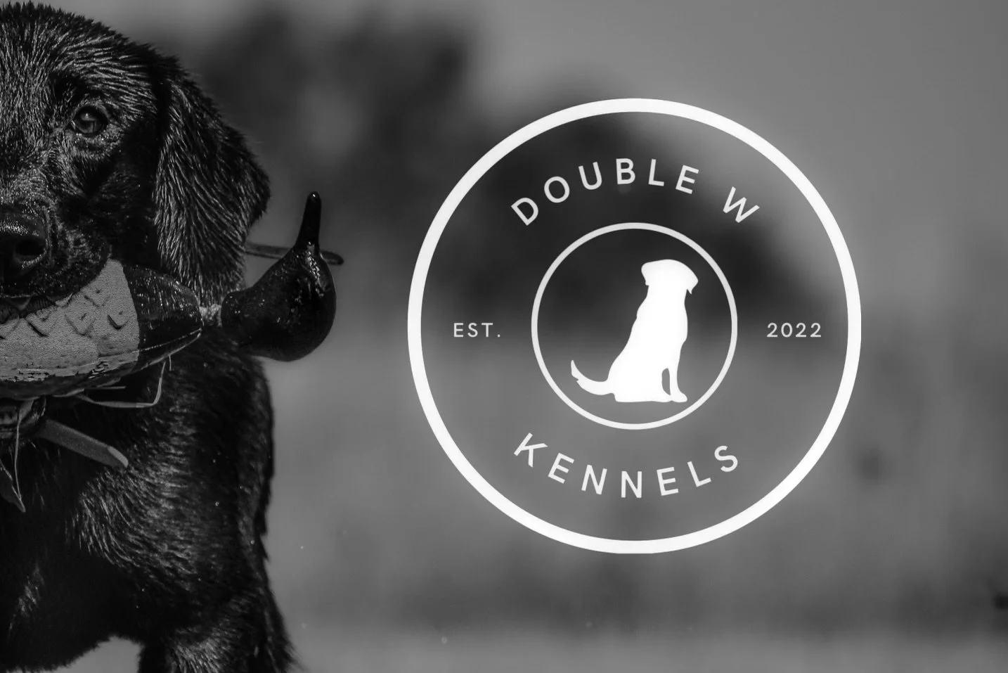 Double W Kennels — dog trainer in Tyler, TX