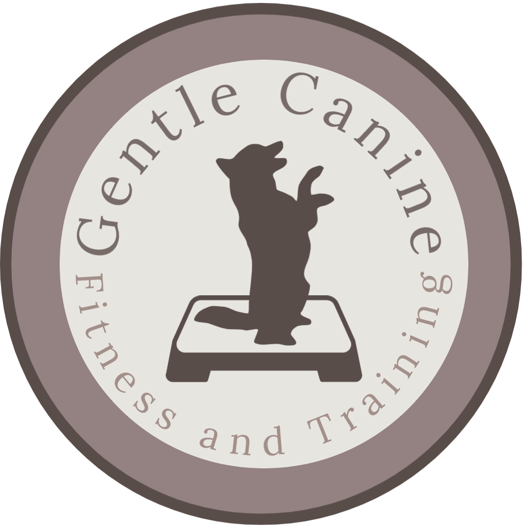 Gentle Canine Fitness and Training — dog trainer in Bangor, ME