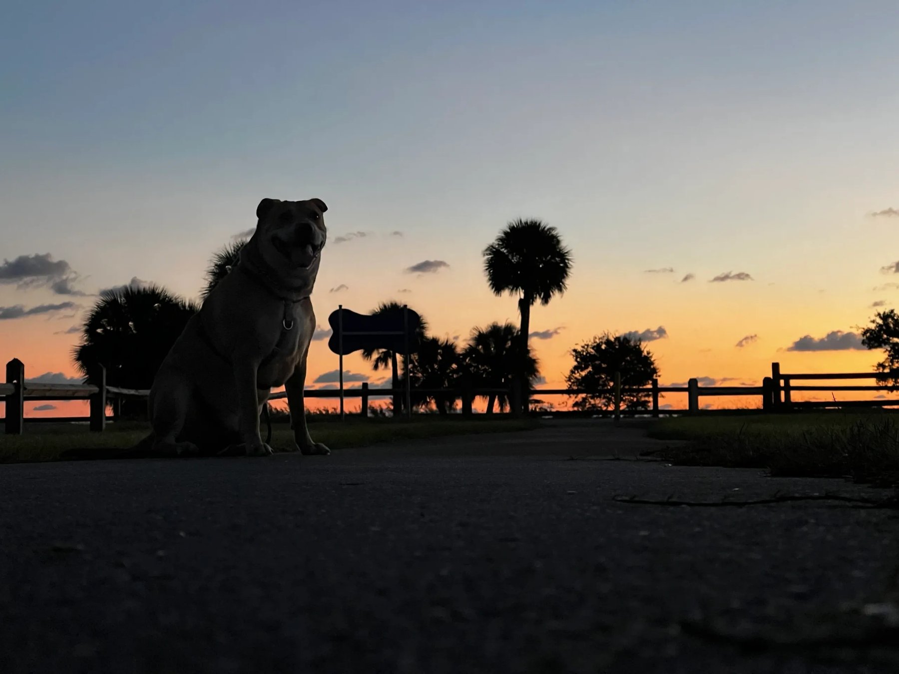 Pawsitively Trained Pets LLC