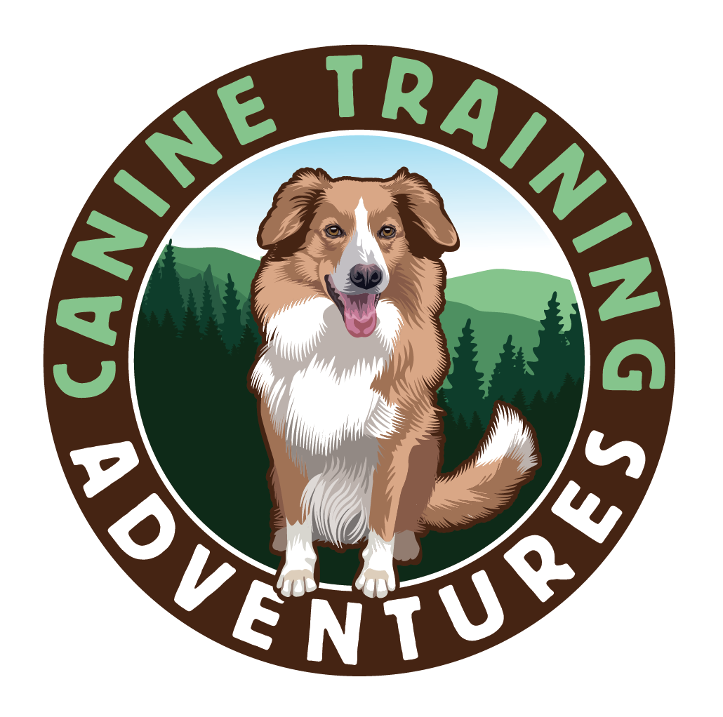 Canine Training Adventures logo