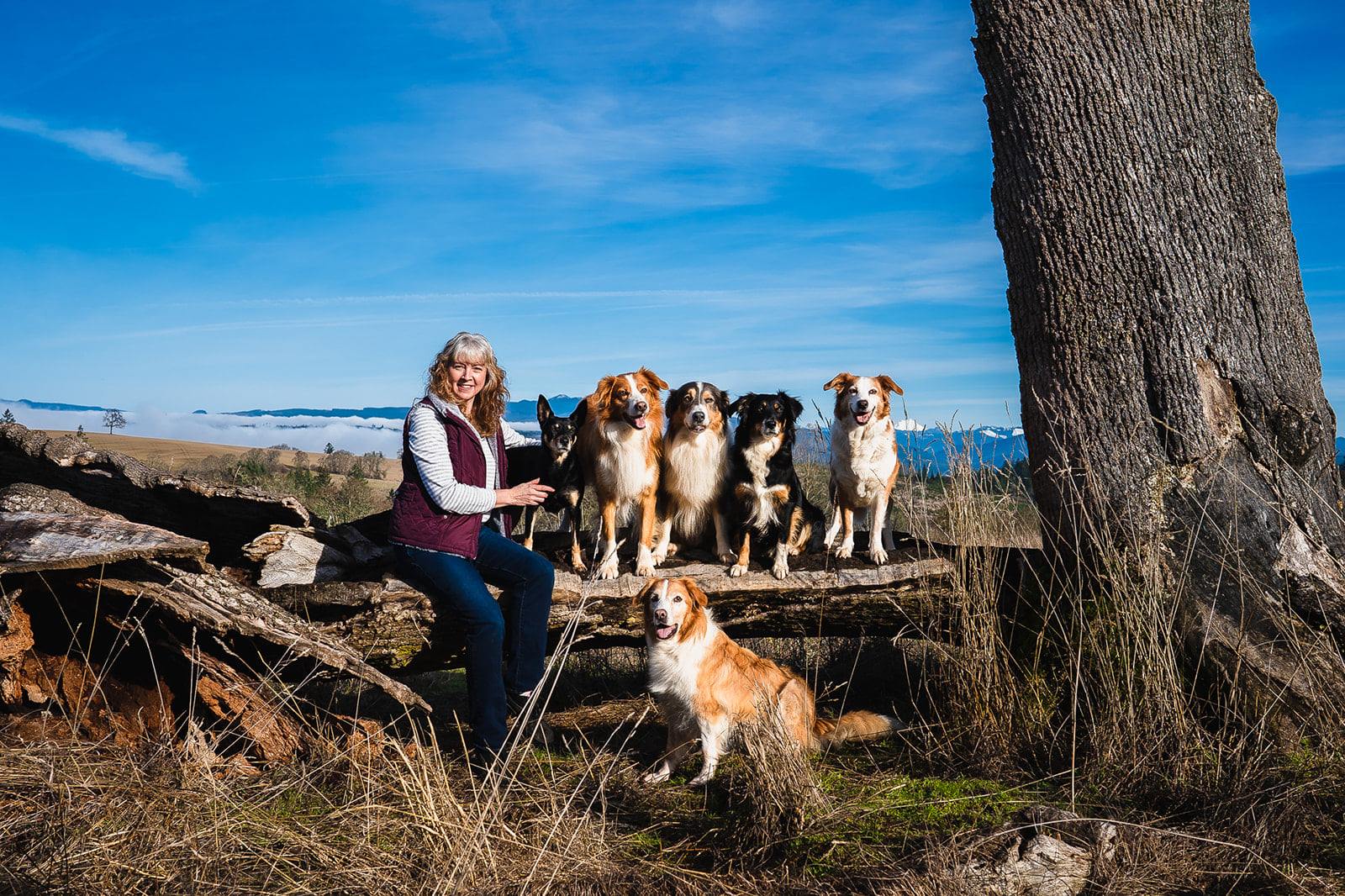 Canine Training Adventures — dog trainer in Corvallis, OR