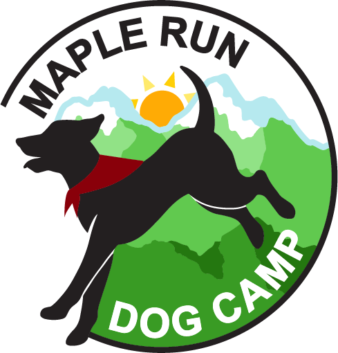 Maple Run Dog Camp logo