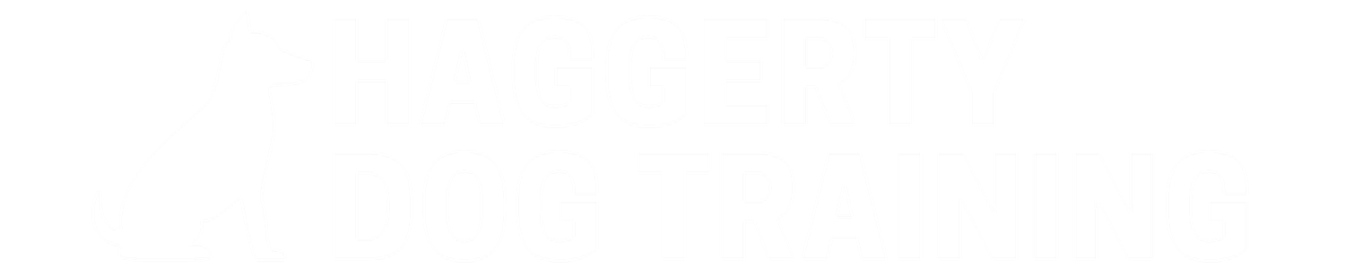 Babette Haggerty – Dog Trainer logo