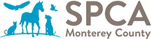 SPCA for Monterey County Dog Training
