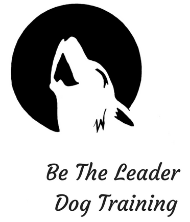 B The Leader Dog Training