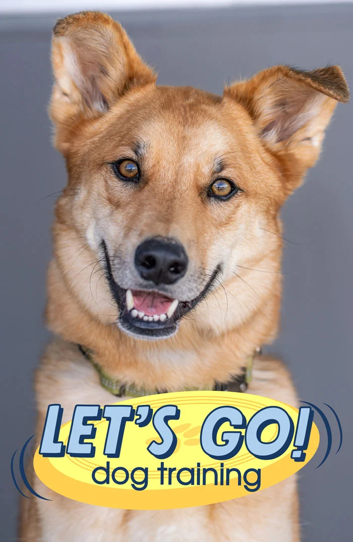 Let’s Go Dog Training