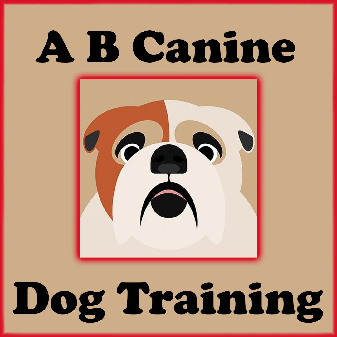 A B Canine — dog trainer in Morristown, NJ