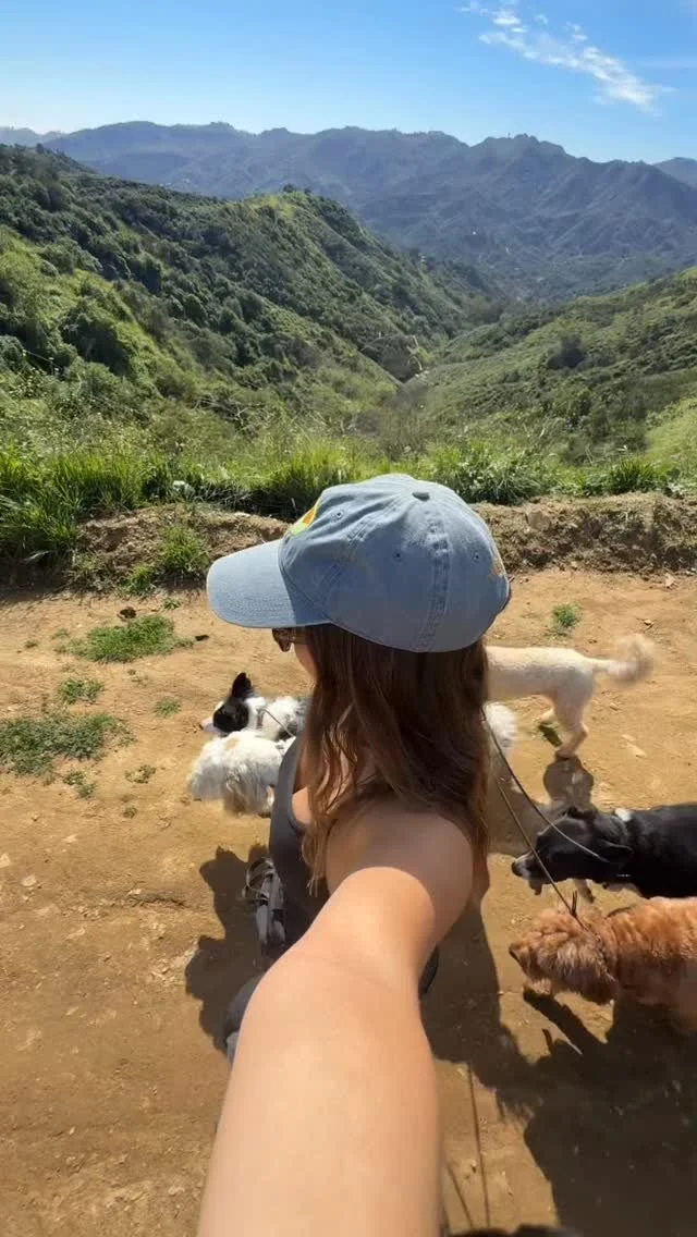 Me & Animals LA