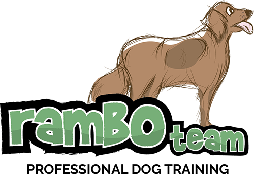 RamboTeam, LLc logo