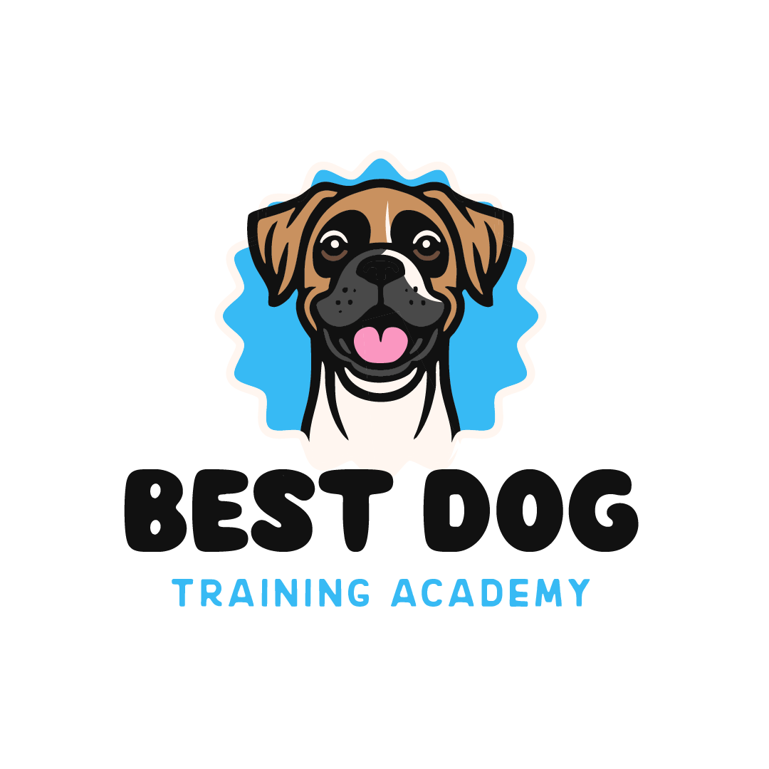Best Dog Training Academy — dog trainer in Beaverton, OR