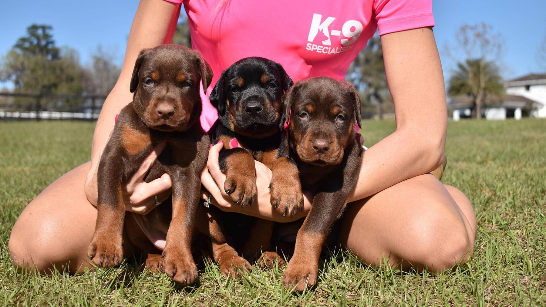 K-9 Specialists