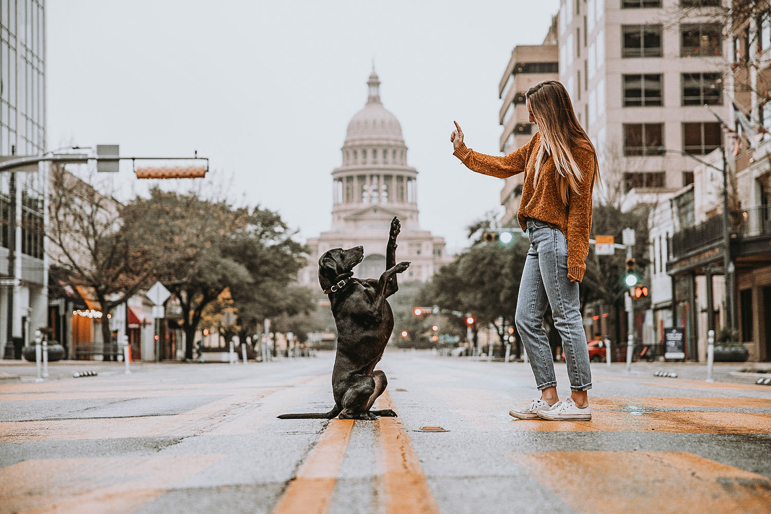 Wild Dogs — dog trainer in Round Rock, TX