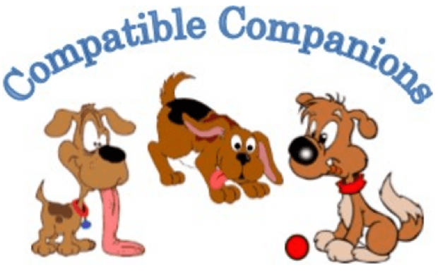 Compatible Companions Dog Services — dog trainer in Killeen, TX