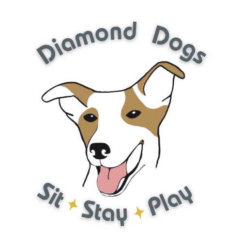 Diamond Dogs Training — dog trainer in Fort Worth, TX