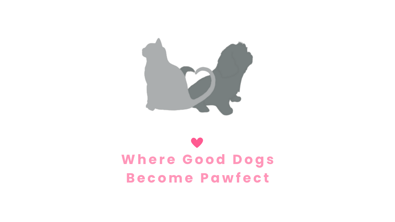 Pawfect Partner LLC logo