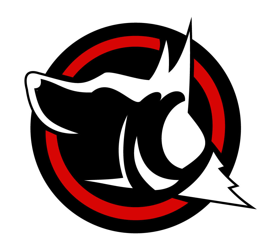 Absolute Control Dog Training Of Orlando