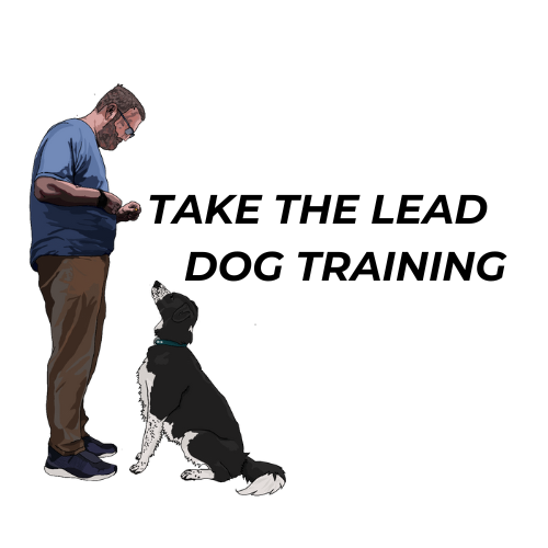 Take the Lead Dog Training logo