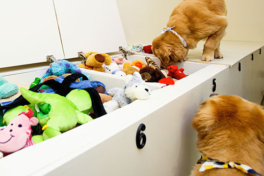 Purr’n Pooch Pet Resort