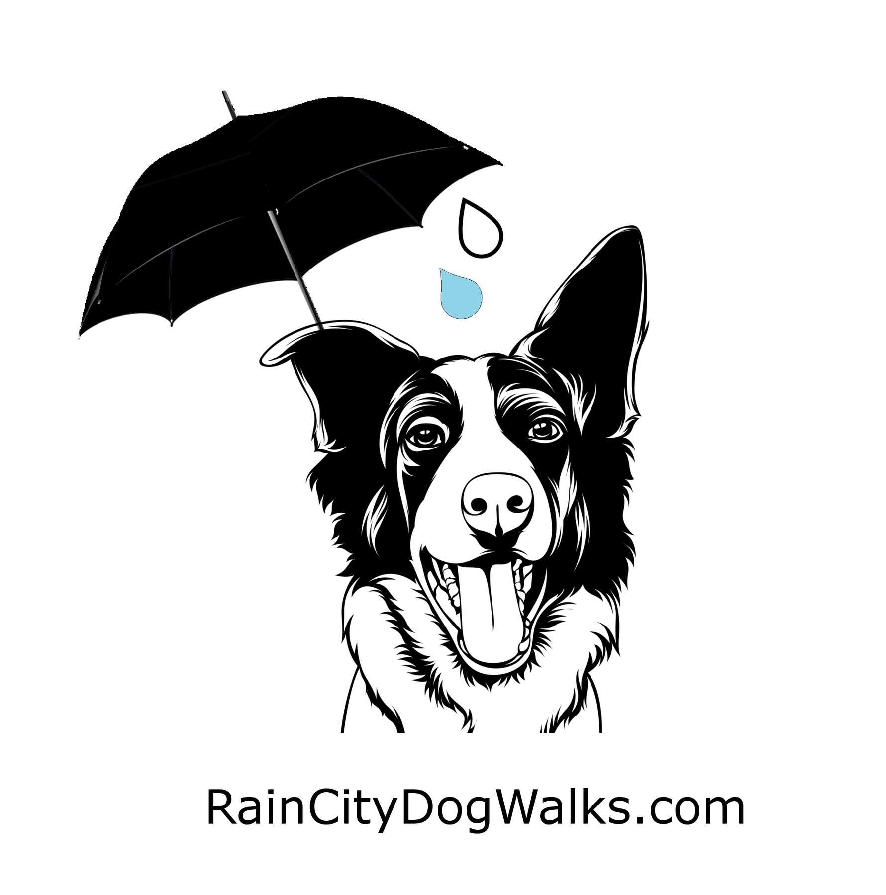 Rain City Dog Walks