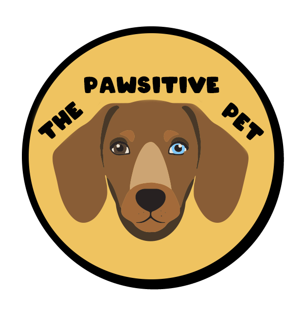 The Pawsitive Pet