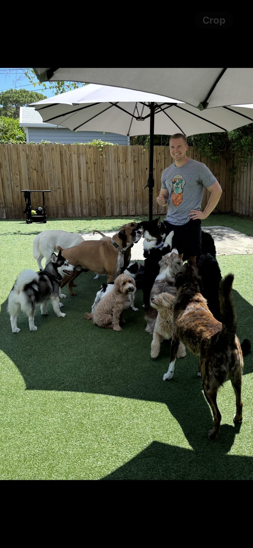 Yesdogtraining