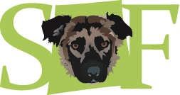 The Simon Foundation Inc