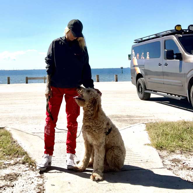 Revolution Dog Training — dog trainer in Tampa, FL
