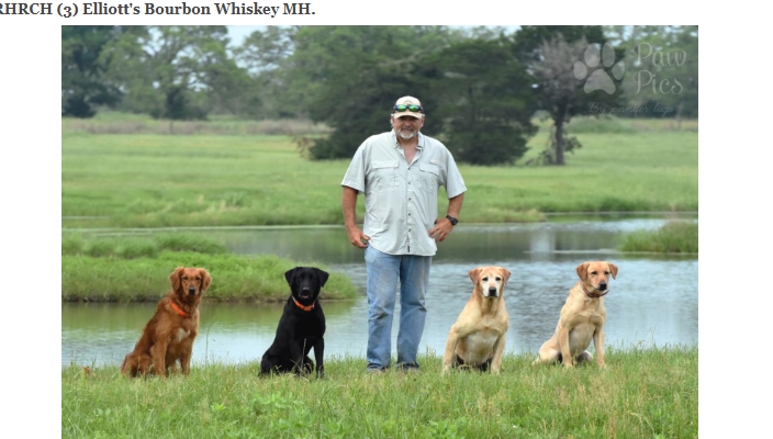 Marsh Dog Kennels — dog trainer in Bastrop, TX