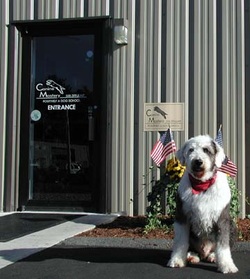 Canine Mastery