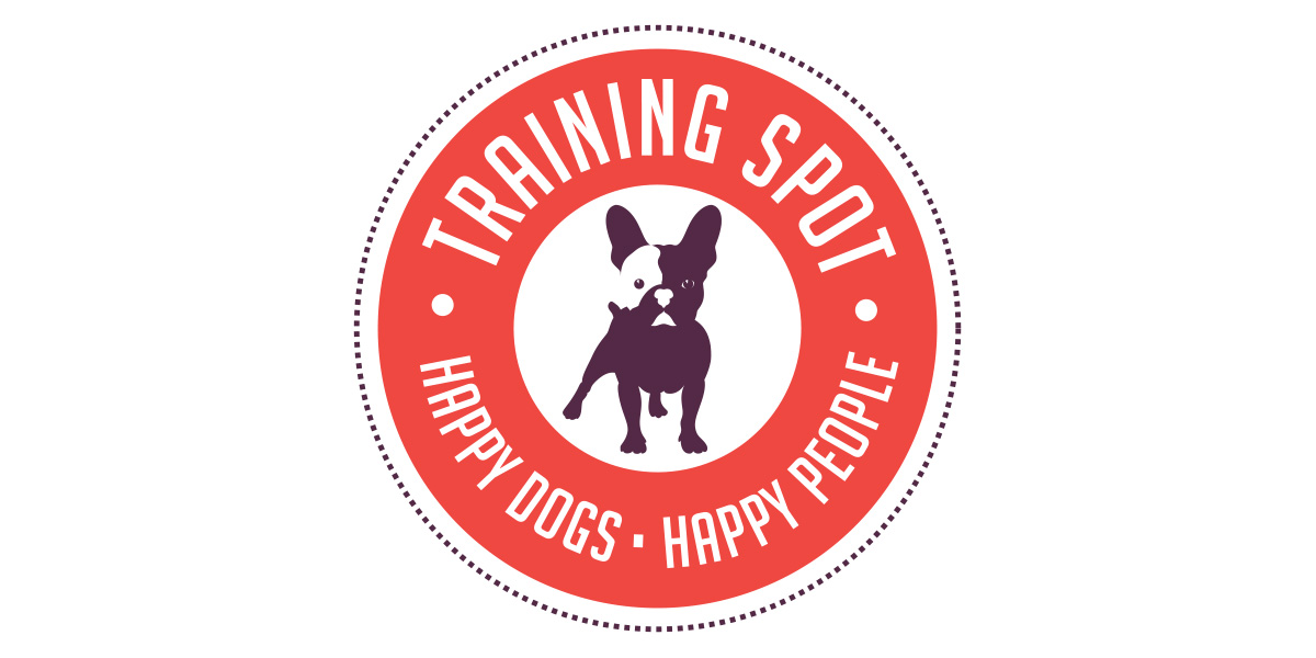Training Spot logo