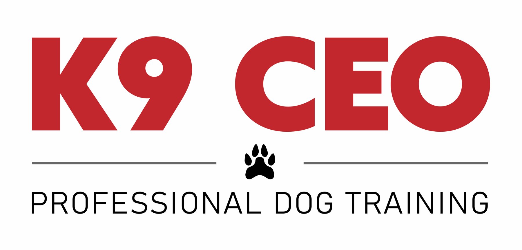 K9 CEO logo