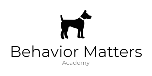 Behavior Matters Academy logo