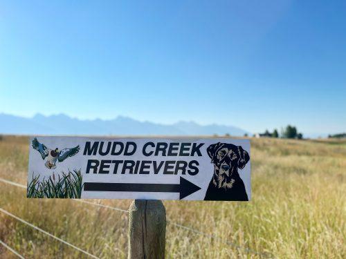 Mudd Creek Retrievers