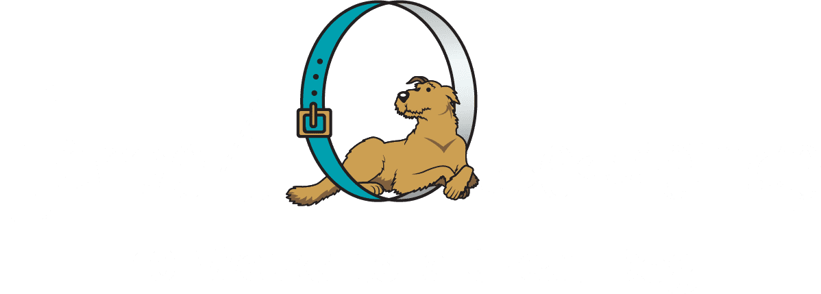 Time 4 Obedience logo