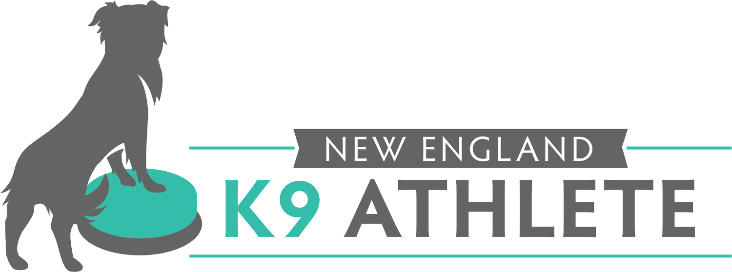 New England K9 Athlete logo