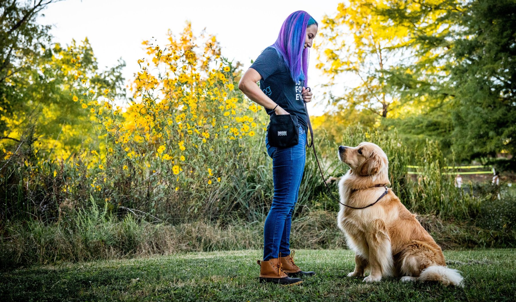 Every Dog Behavior and Training (South)