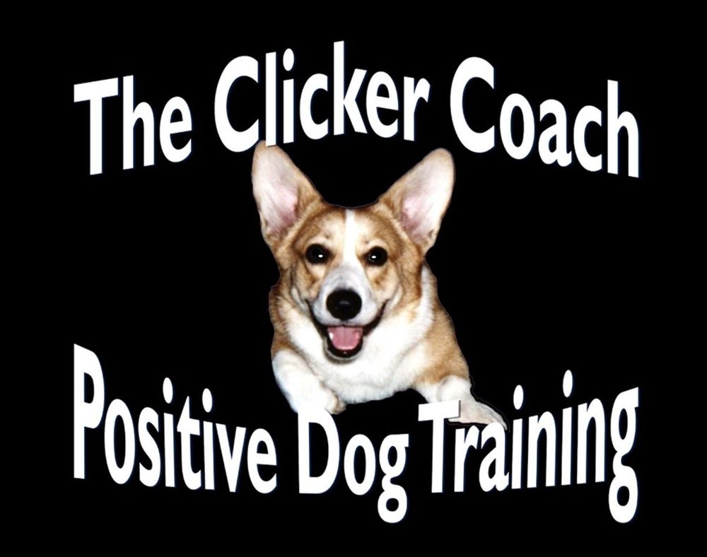 Clicker Coach Dog Training