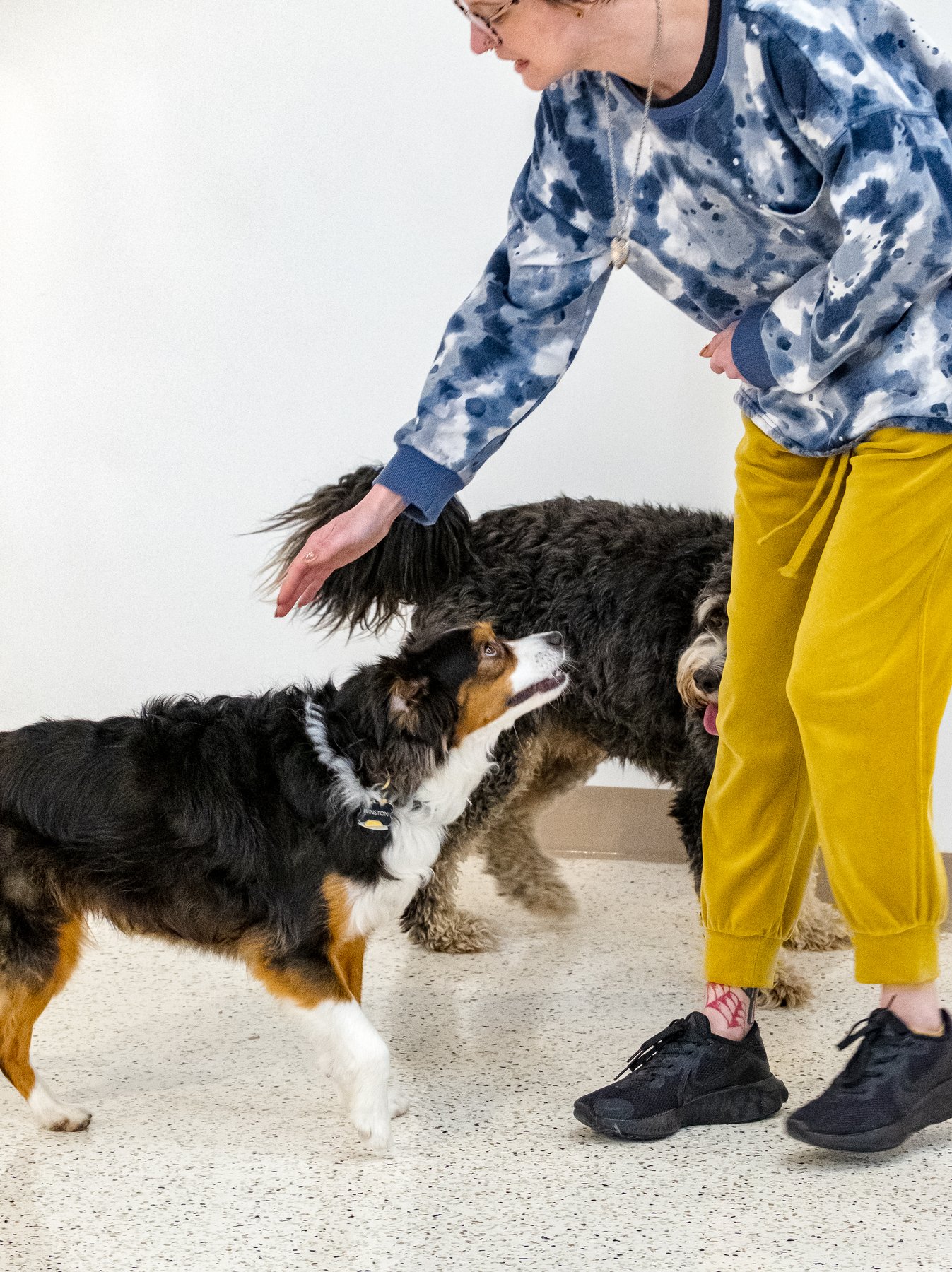 Goodwoof Dog Care & Training Club