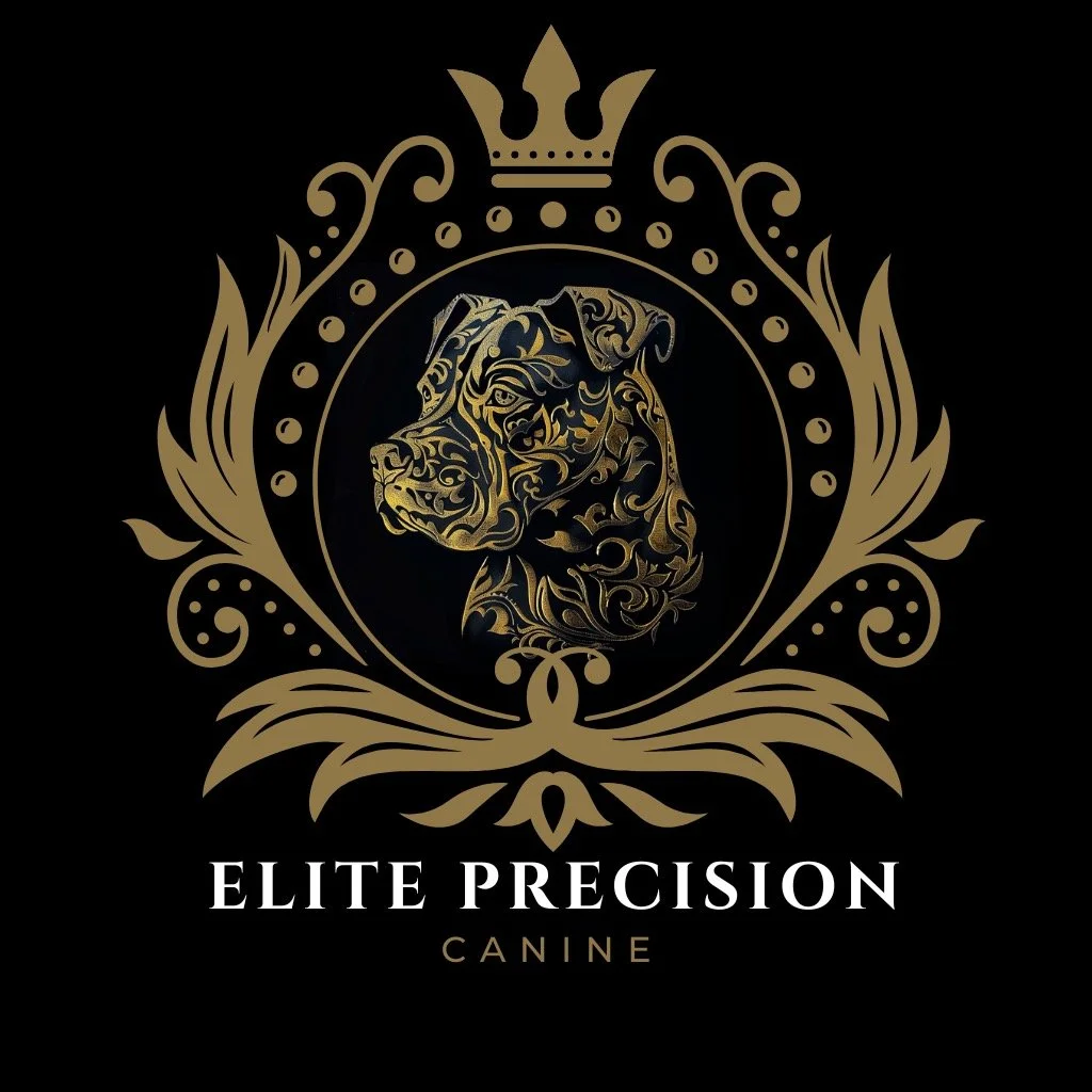 Elite Precision Canine — dog trainer in Spring Hill, FL