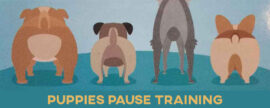 Puppies Pause Training logo