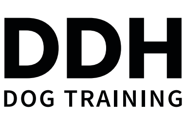 David's Dog House — dog trainer in Sanford, FL