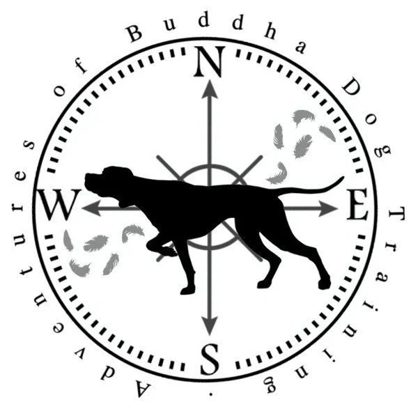 Adventures of Buddha Dog Training