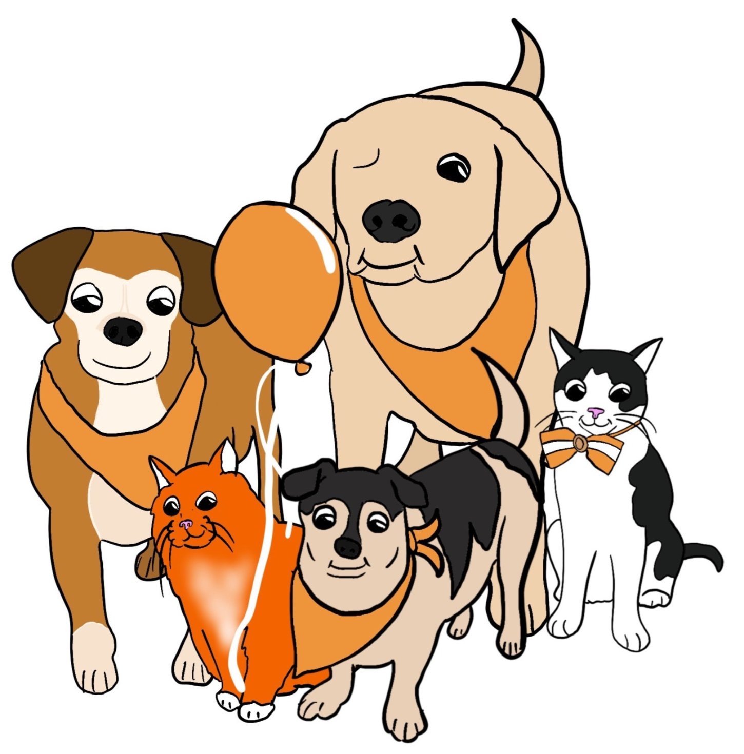 Camp BellyRub – Dog Training and Pet Care