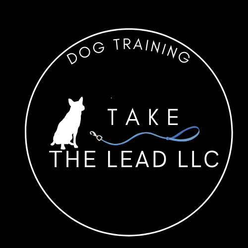 Take The Lead LLC logo