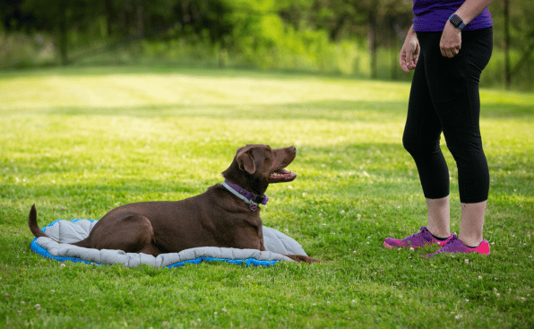 RCO Pet Care