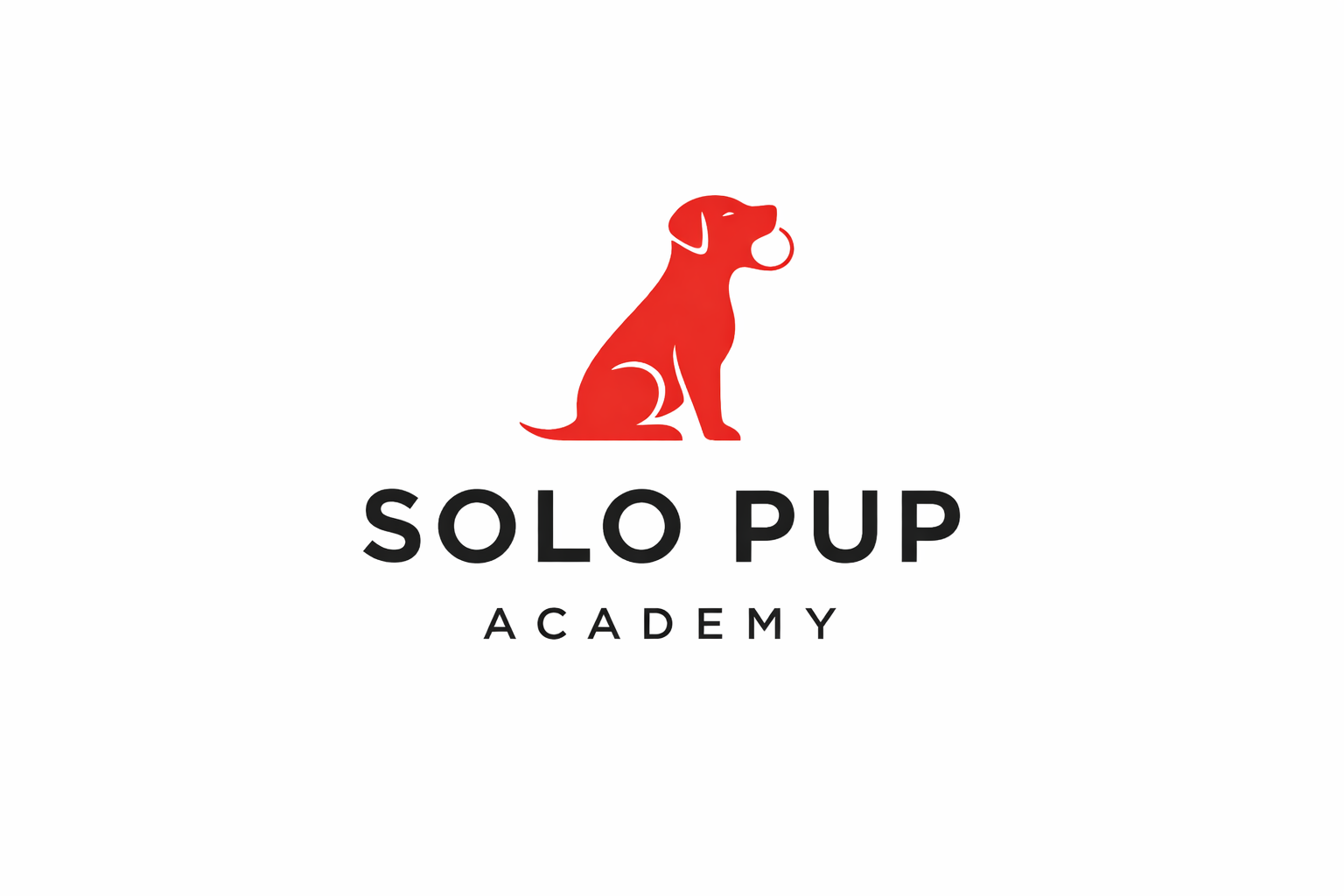 Solo Pup Academy