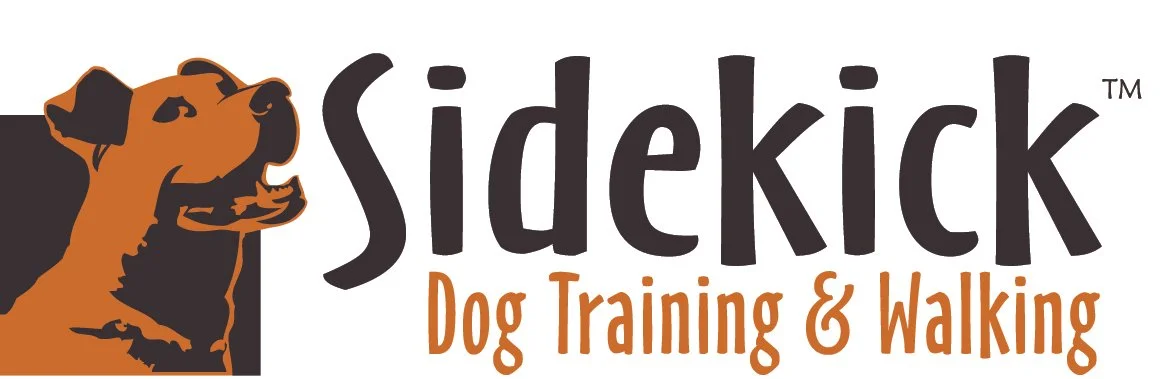 Sidekick logo