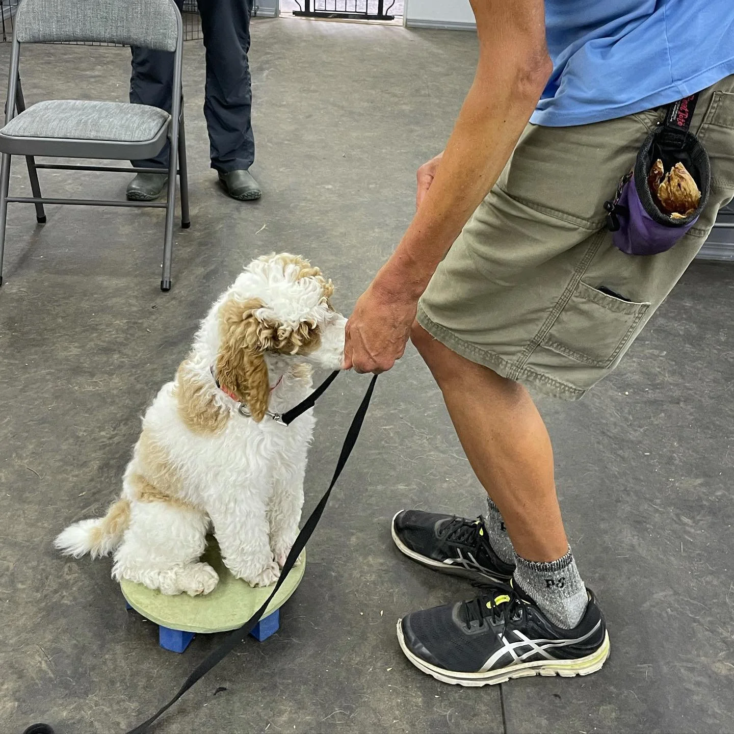 Sidekick